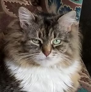 Meet your Posher, Jan